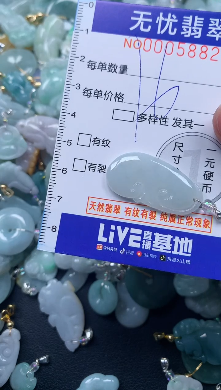 颈饰未镶嵌翡翠5882