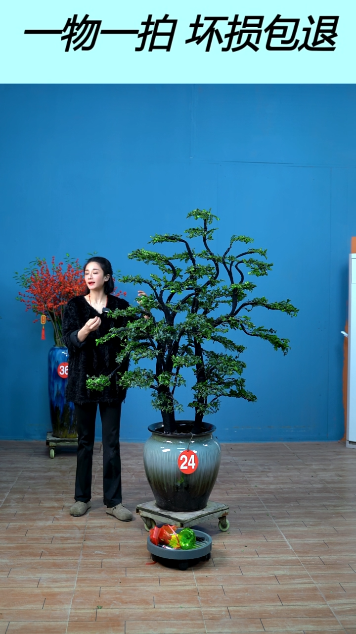 无花朵二***剑广东小叶紫檀