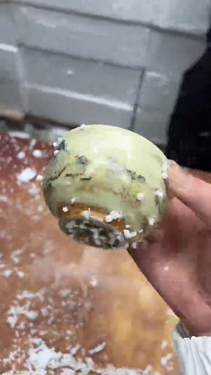 瓷片其他其他其他其他