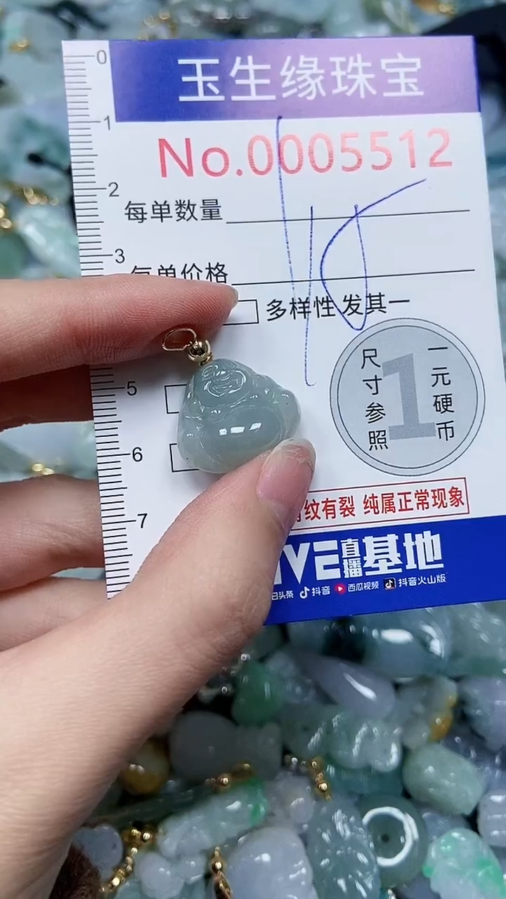 【闪购商品】翡翠颈饰未镶嵌闪购5512