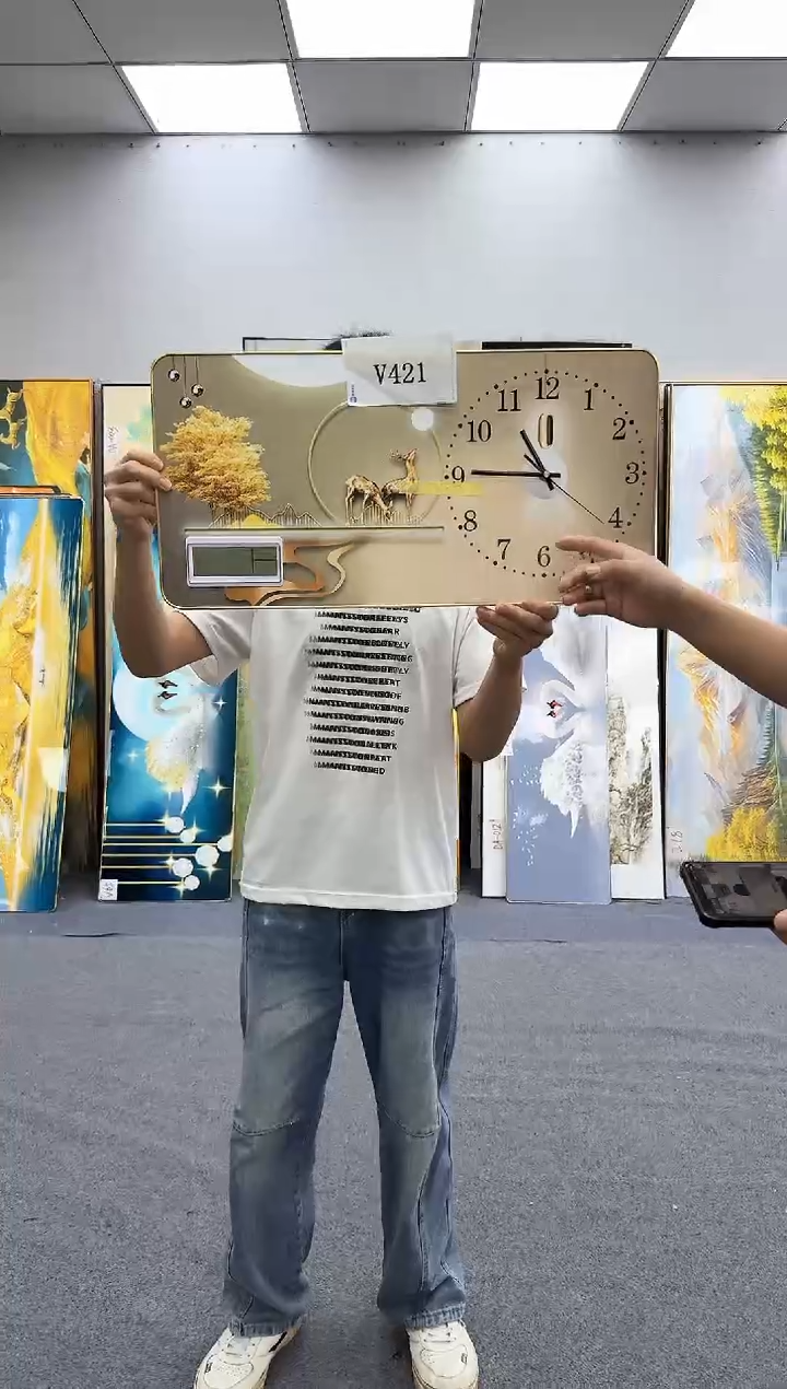 孤品微瑕黑马闪购V421