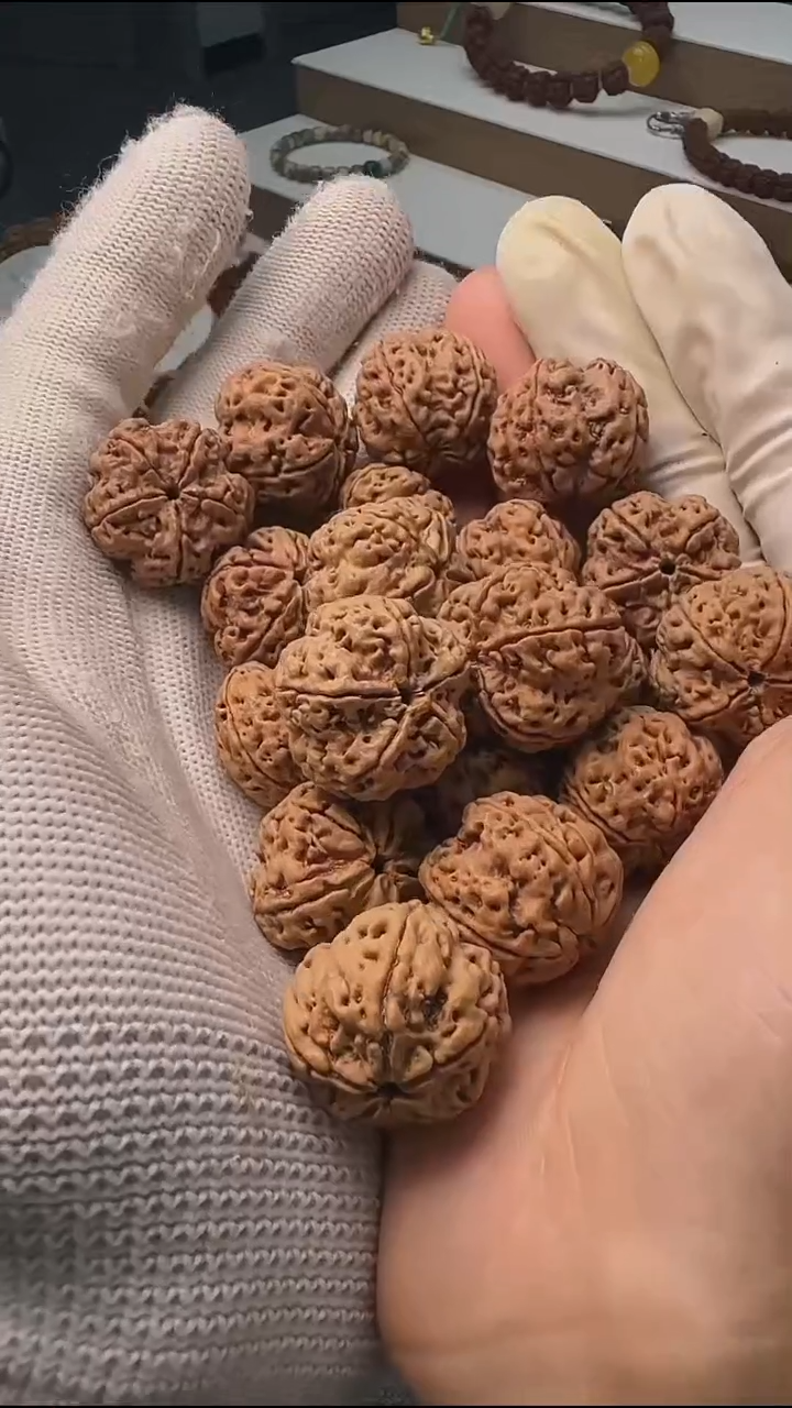 金刚菩提手串全品霸王龙23mm散籽30+颗