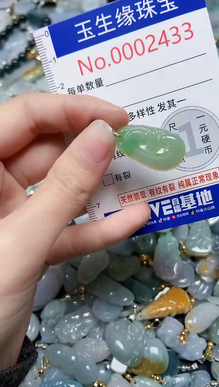 【闪购商品】翡翠颈饰未镶嵌闪购00002433