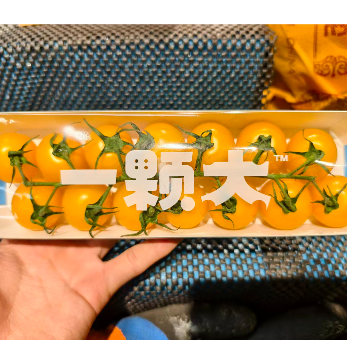 一颗大黄樱桃番茄   山东省