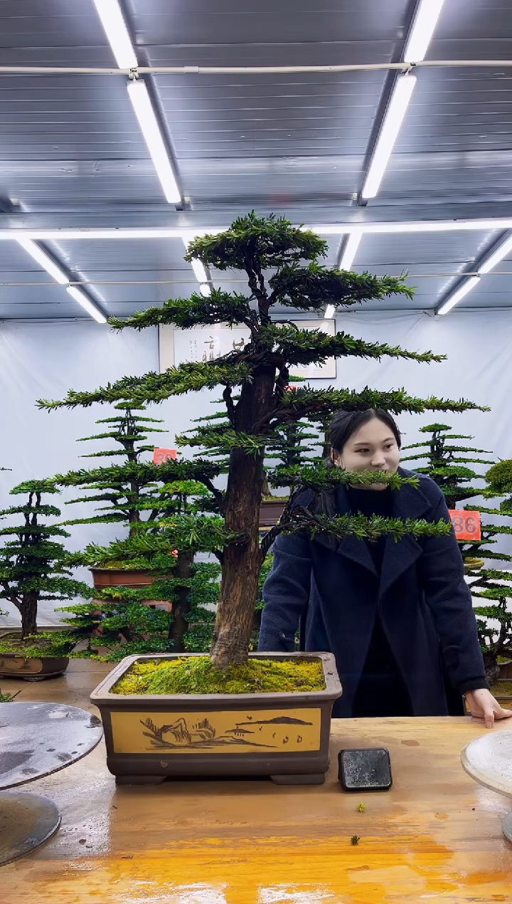 无花朵一物一拍，所见即所得