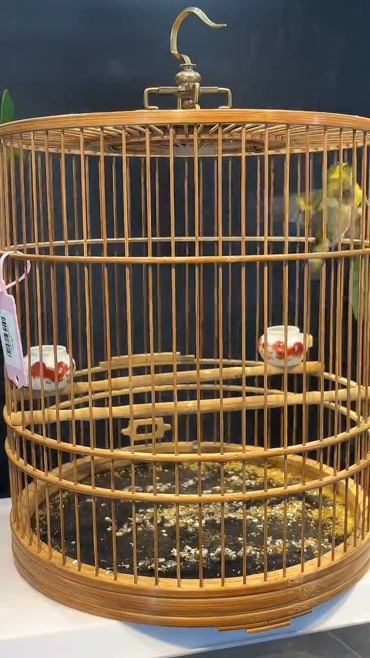 48号   黄雀养笼0元起拍