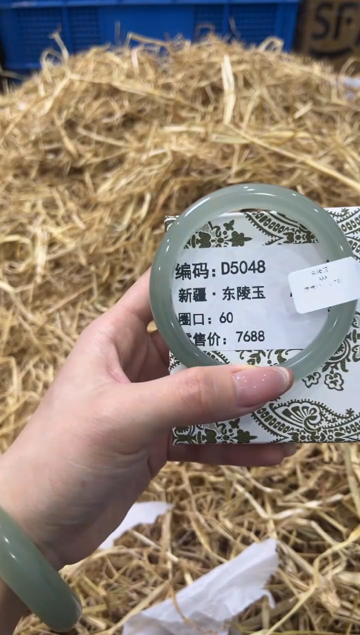 未镶嵌手镯石英质玉D5048