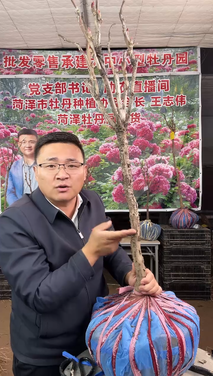 闪购顺丰包邮  皇冠6