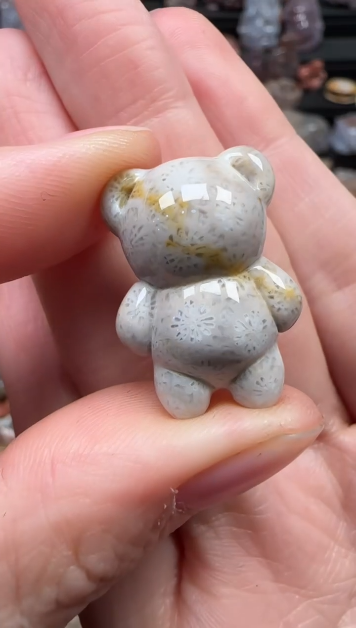 颈饰未镶嵌硅化珊瑚（珊瑚玉）748