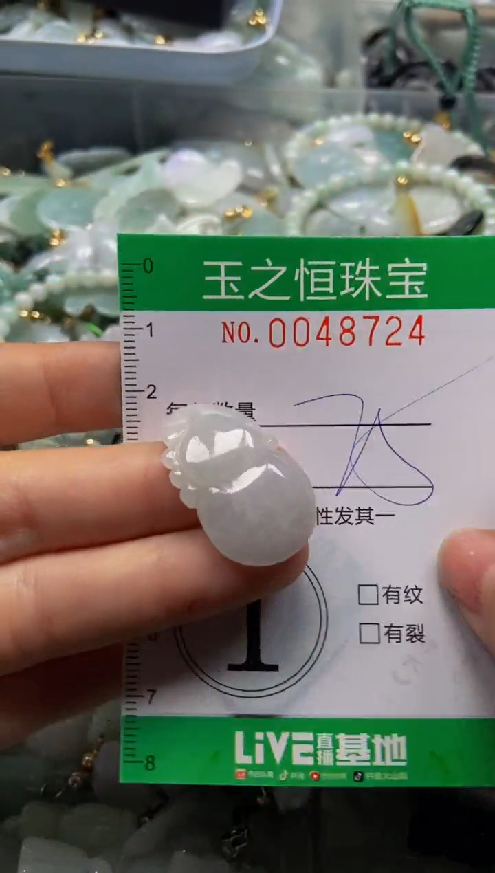 【闪购商品】翡翠颈饰未镶嵌闪购0048724