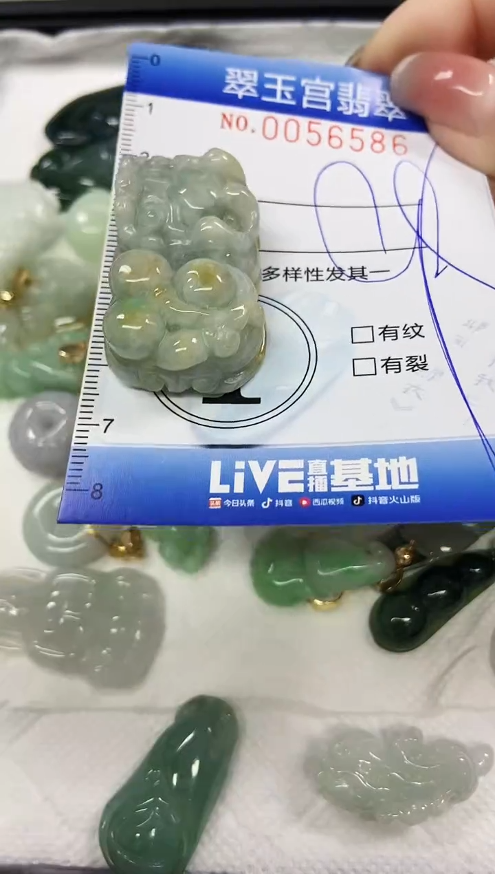 【闪购商品】翡翠颈饰未镶嵌闪购商品0056586