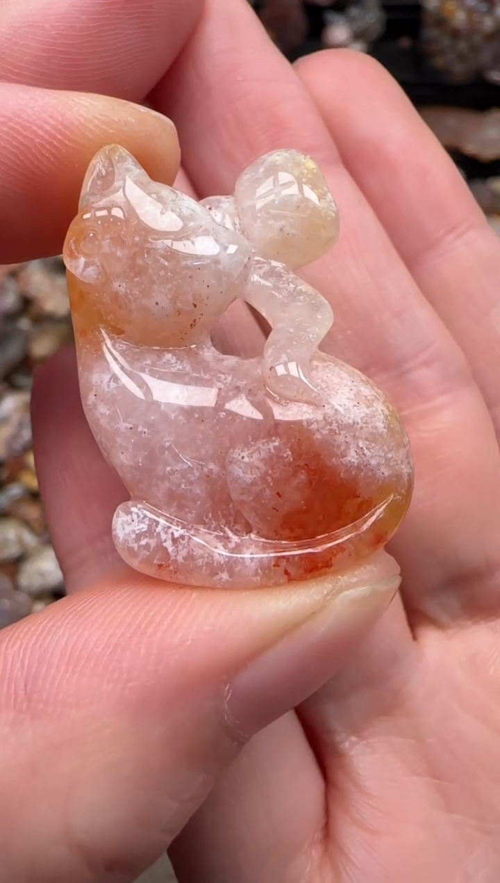 硅化珊瑚（珊瑚玉）未镶嵌颈饰590