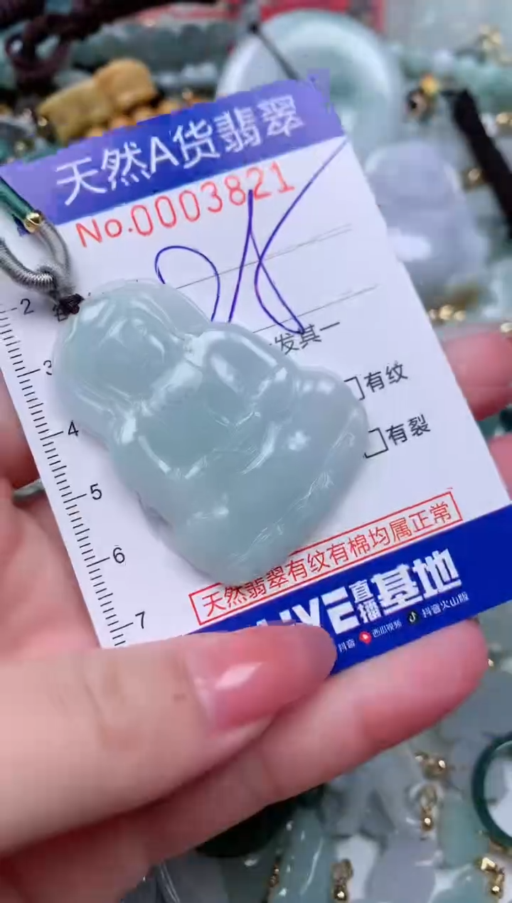 【闪购商品】翡翠颈饰未镶嵌00003821