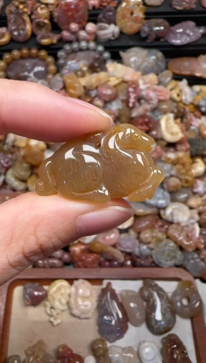 颈饰未镶嵌硅化珊瑚（珊瑚玉）820