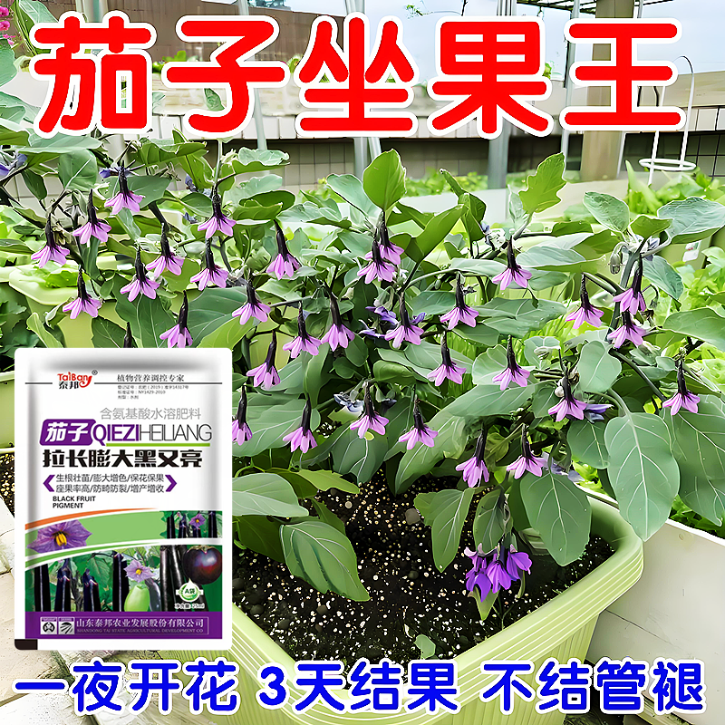 茄子专用肥料茄子黑又亮拉直拉长上色防畸形防裂增产茄子叶面肥