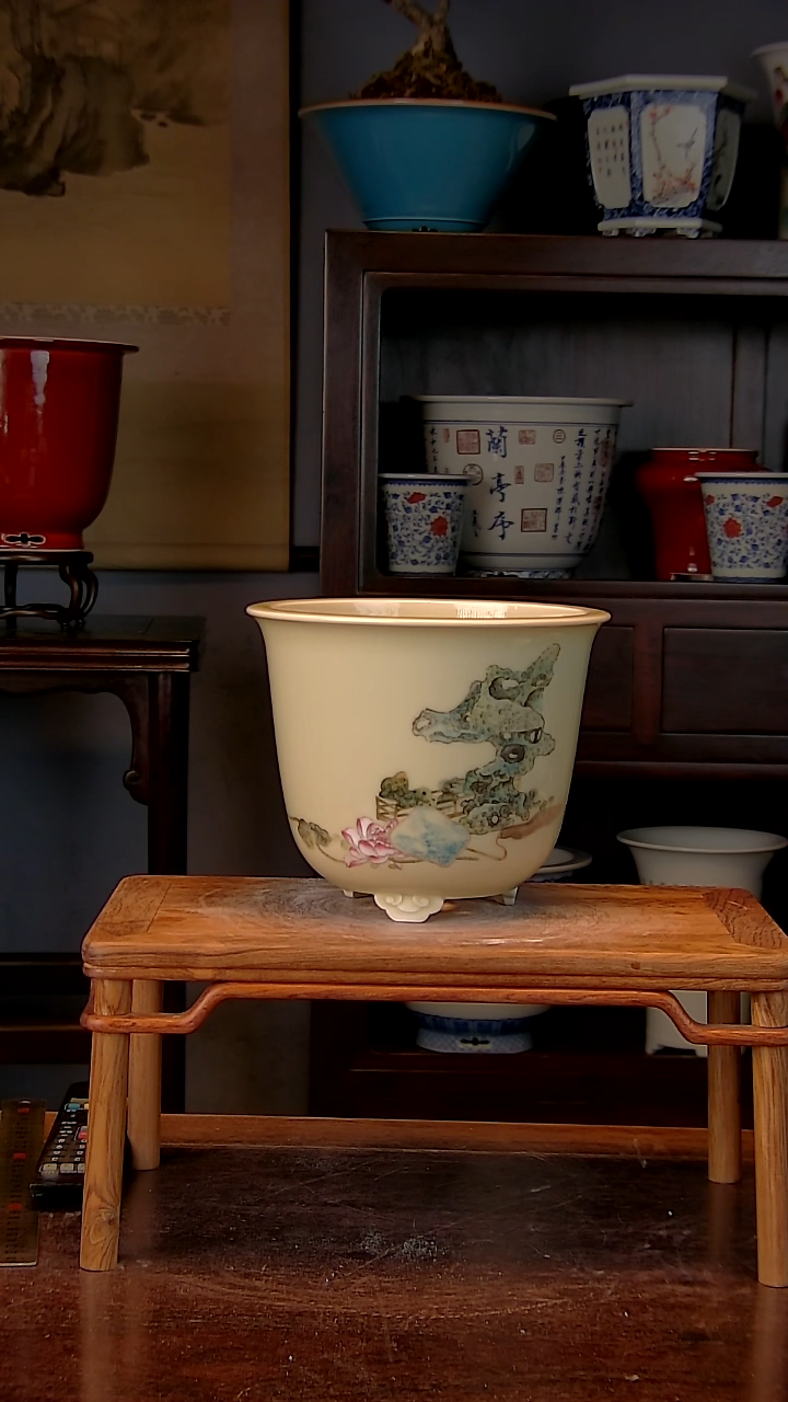 【闪购商品】红陶1