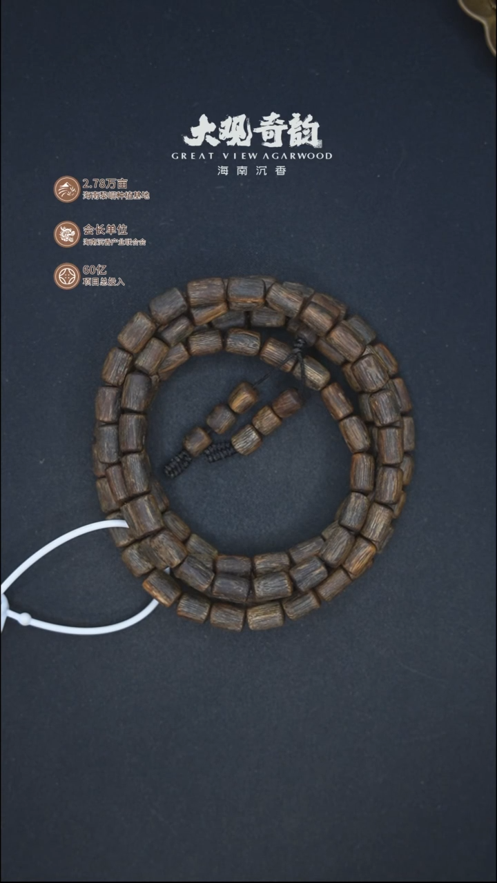 沉香手串资**莉【玄衣翻墨】DG-2738_33.7克