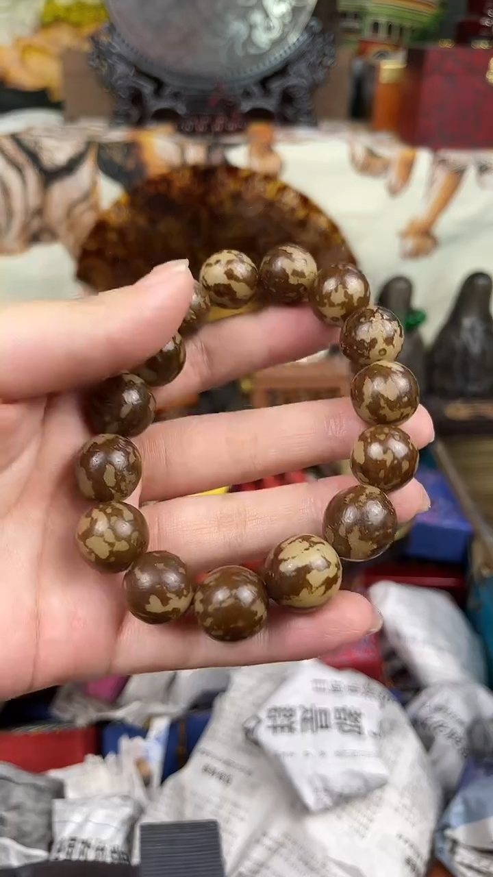 香榧木小月——————噗菩提根