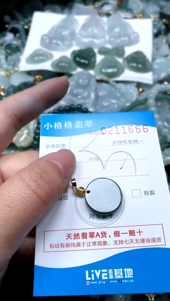 【闪购商品】翡翠颈饰未镶嵌闪购商品0211666
