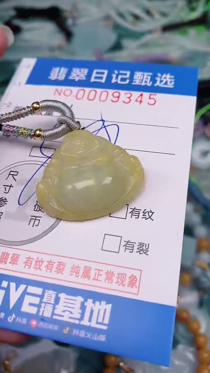 【闪购商品】翡翠颈饰未镶嵌00009345