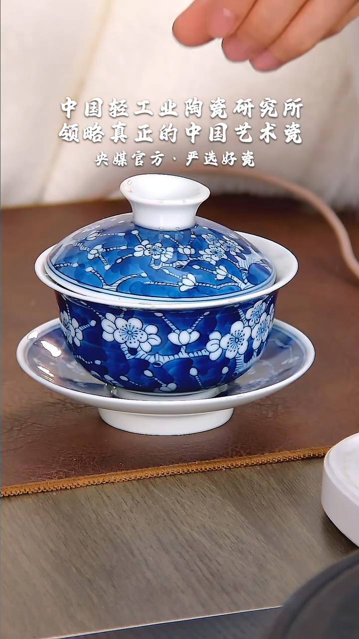 【闪购商品】瓷片陶瓷  研究所    流水21