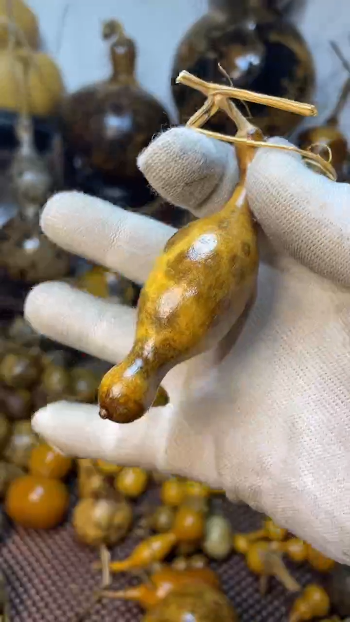 【闪购商品】葫芦葫芦葫芦葫芦