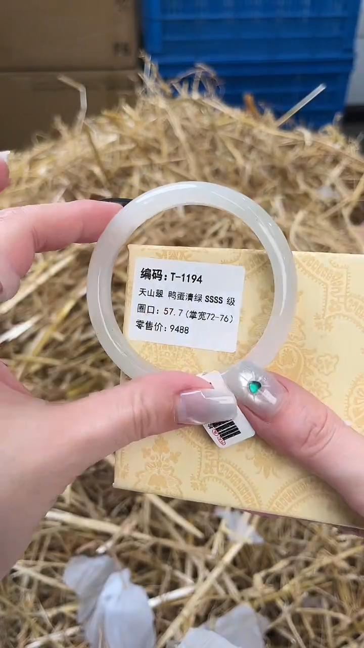 未镶嵌手镯石英质玉T-1194