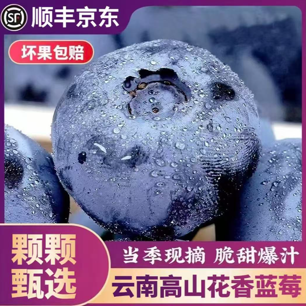 【力荐8盒装】云南花香脆甜蓝莓现摘孕妇高端当季新鲜水果怡颗蓝梅