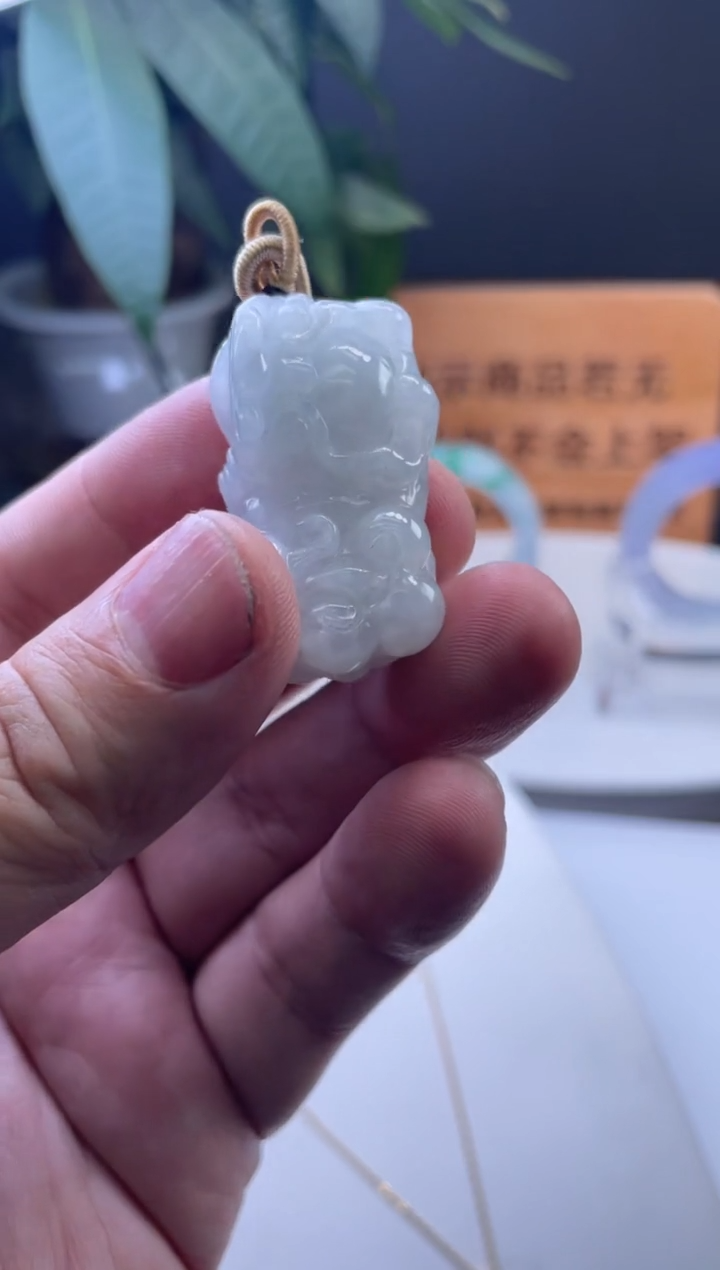 【闪购商品】翡翠颈饰未镶嵌貔貅多样性发1件