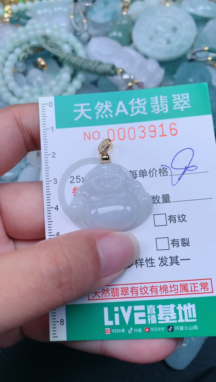 翡翠未镶嵌颈饰.0003916