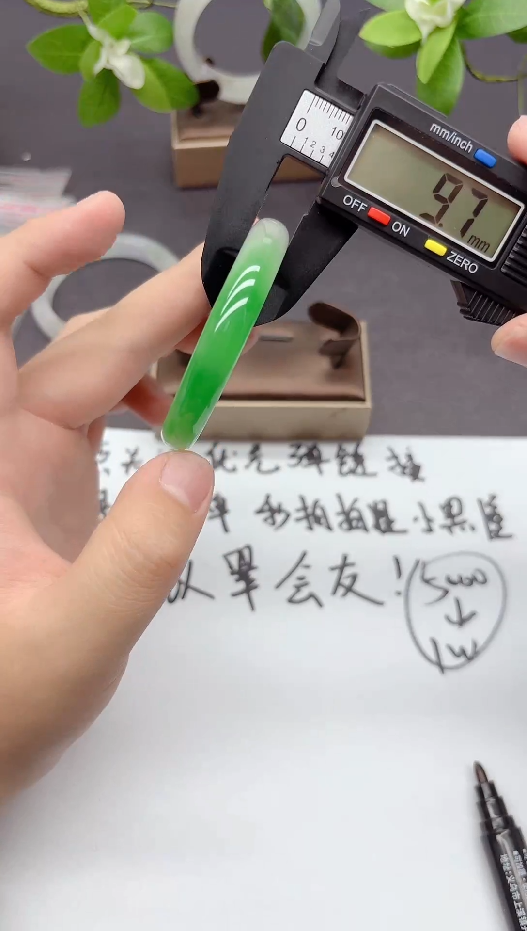 204所见即所得 拍什么发什么