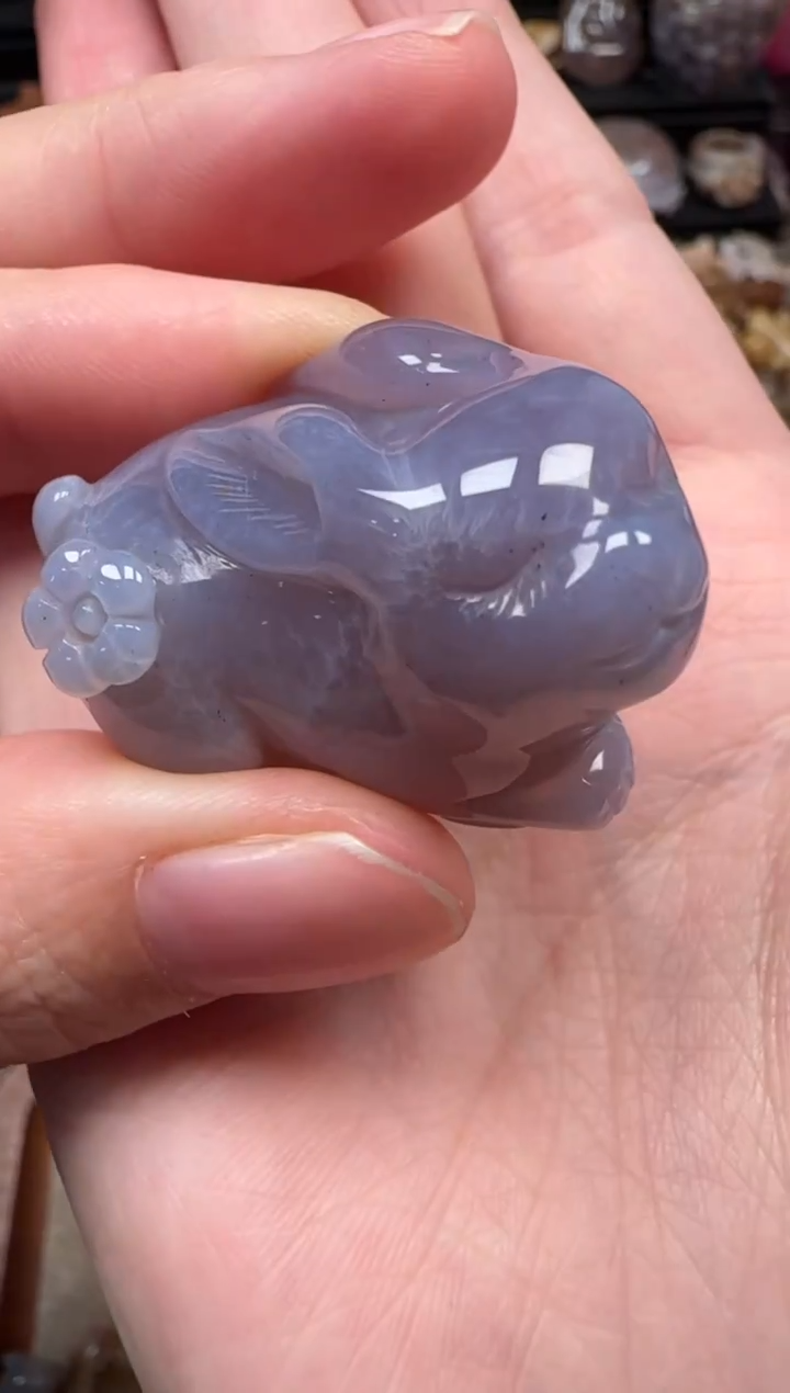 颈饰未镶嵌硅化珊瑚（珊瑚玉）411