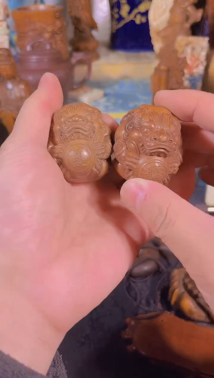 黄杨木1111111111111111