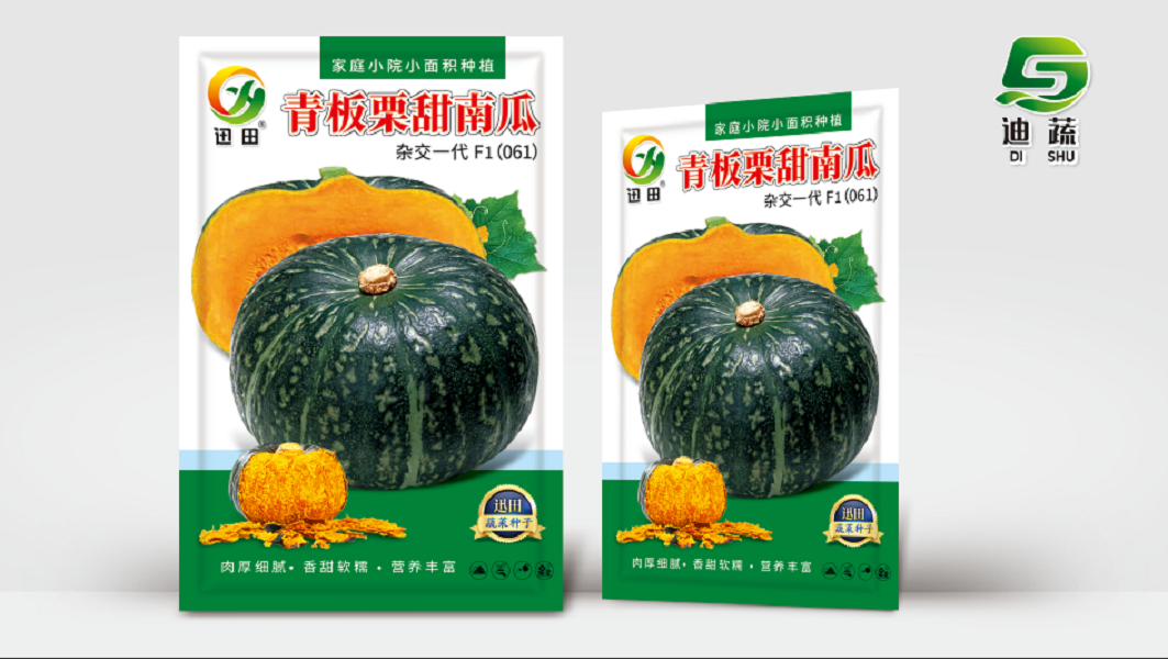 青板栗甜南瓜杂交一代正宗板栗味贝贝南瓜粉面香甜适合大面积地栽
