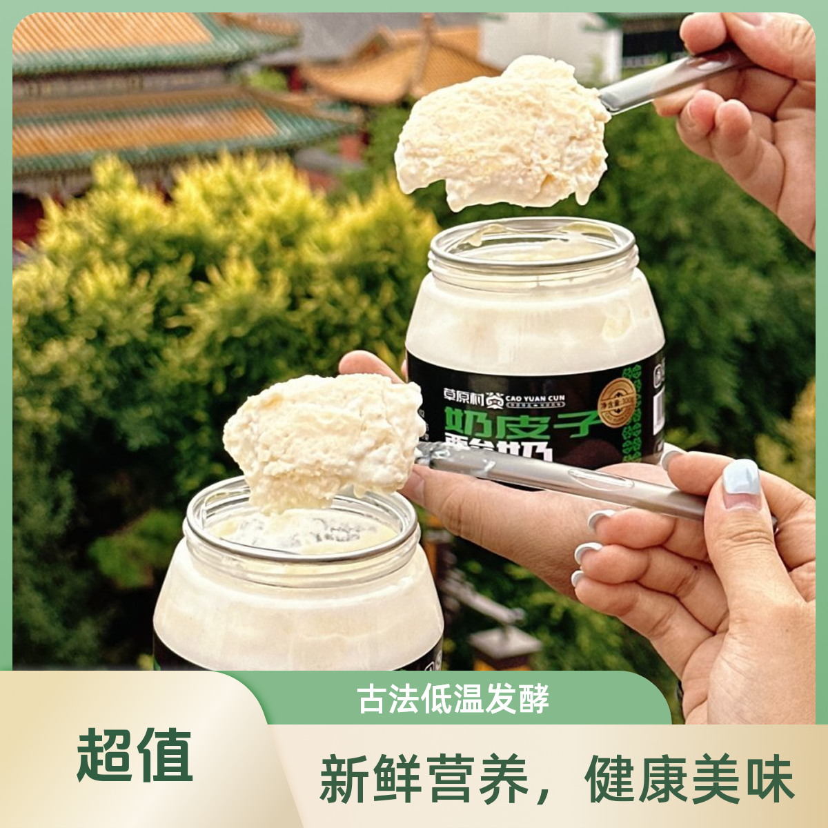 【奈曼同城配送】加厚款奶皮子酸奶