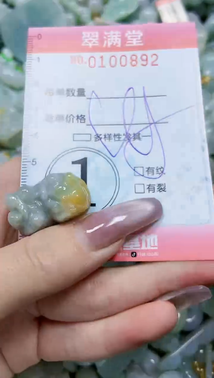 【闪购商品】翡翠颈饰未镶嵌闪购0100892