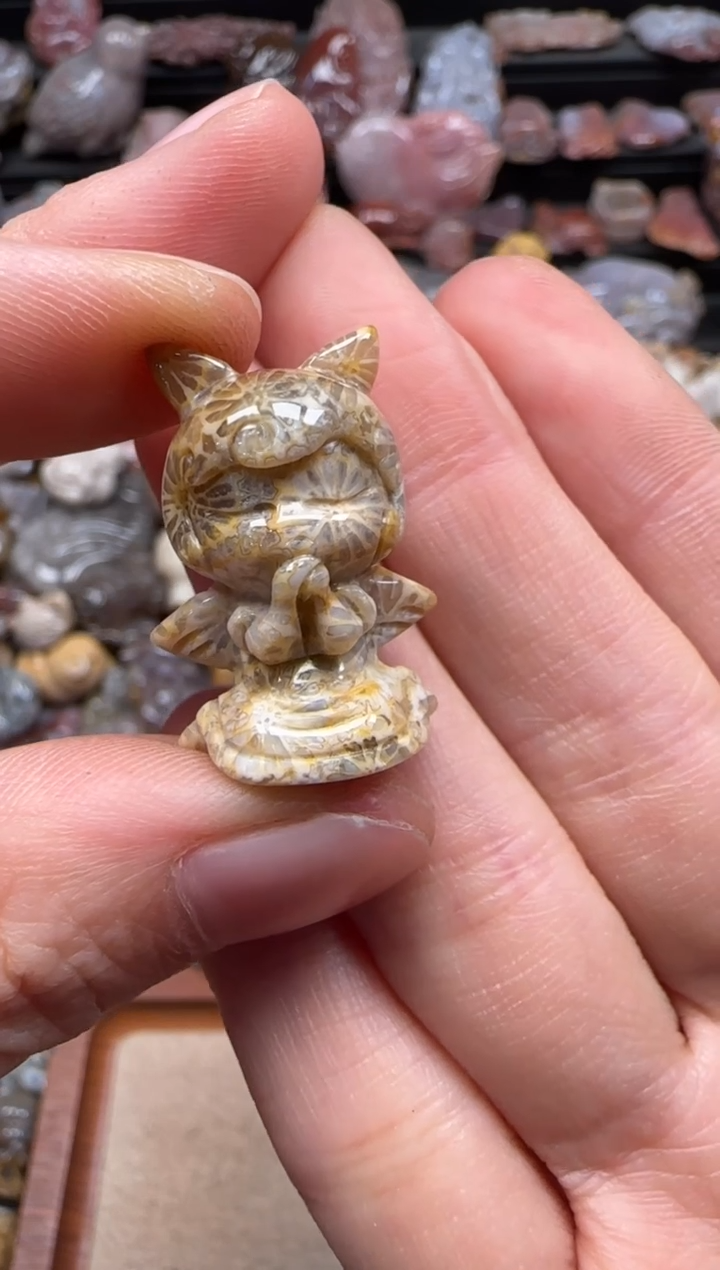 【闪购商品】硅化珊瑚（珊瑚玉）颈饰未镶嵌937