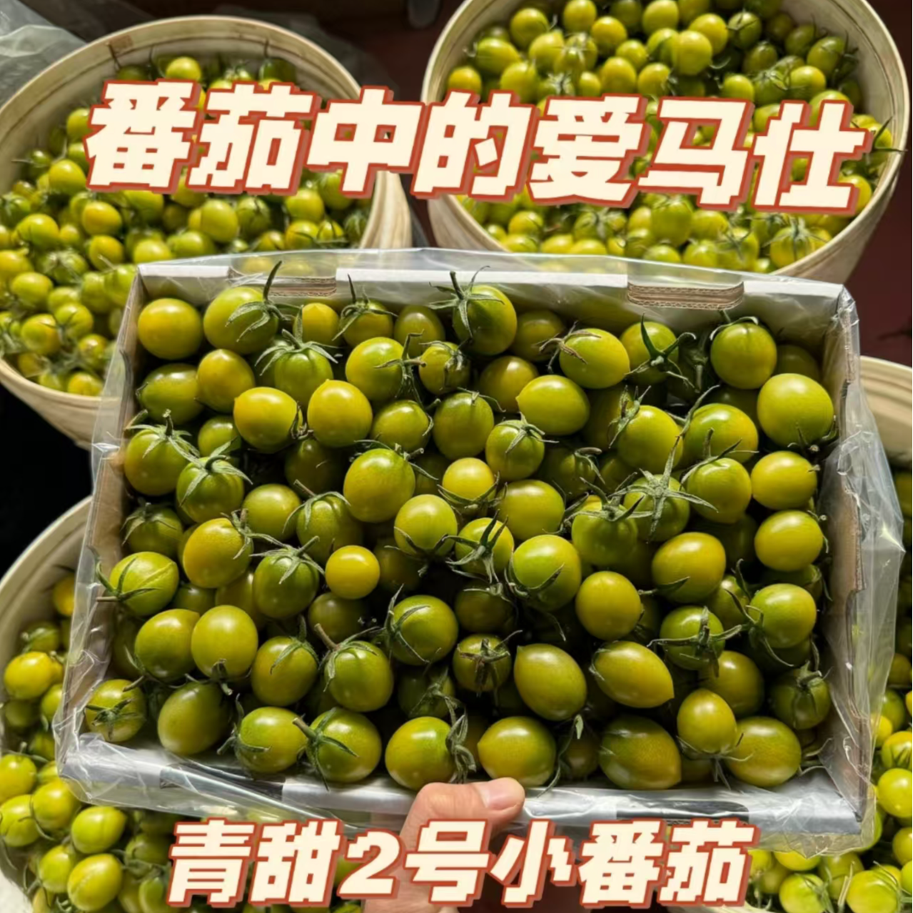 胡夫  {清甜2号} 小番茄贵族  净重2斤番茄同城配绿色樱桃小番茄广东省