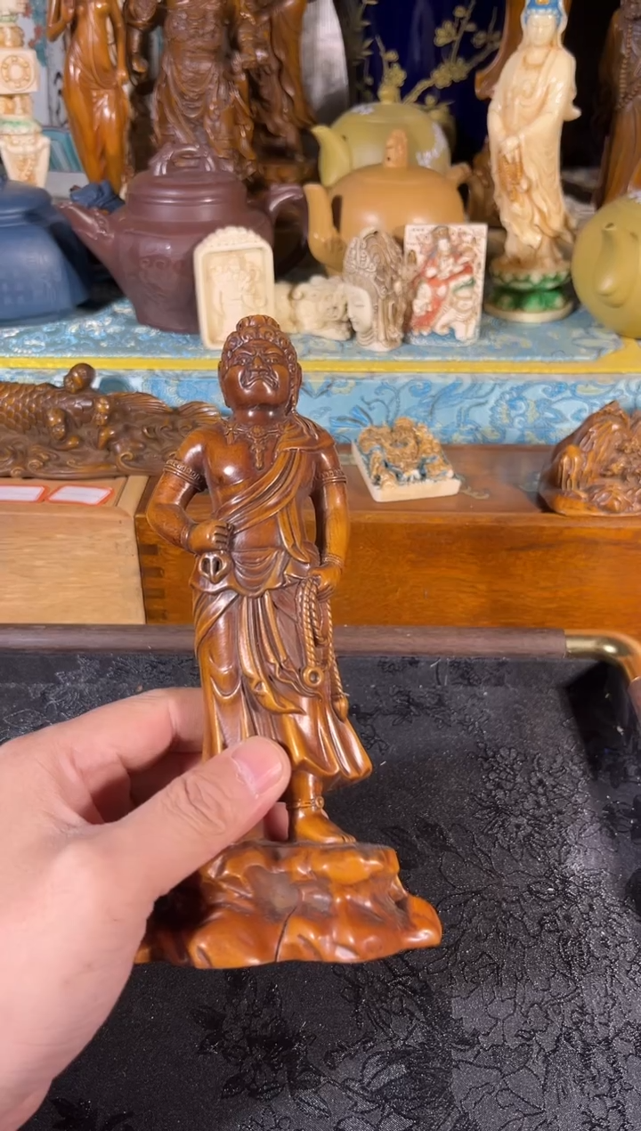 黄杨木1111111111111111111