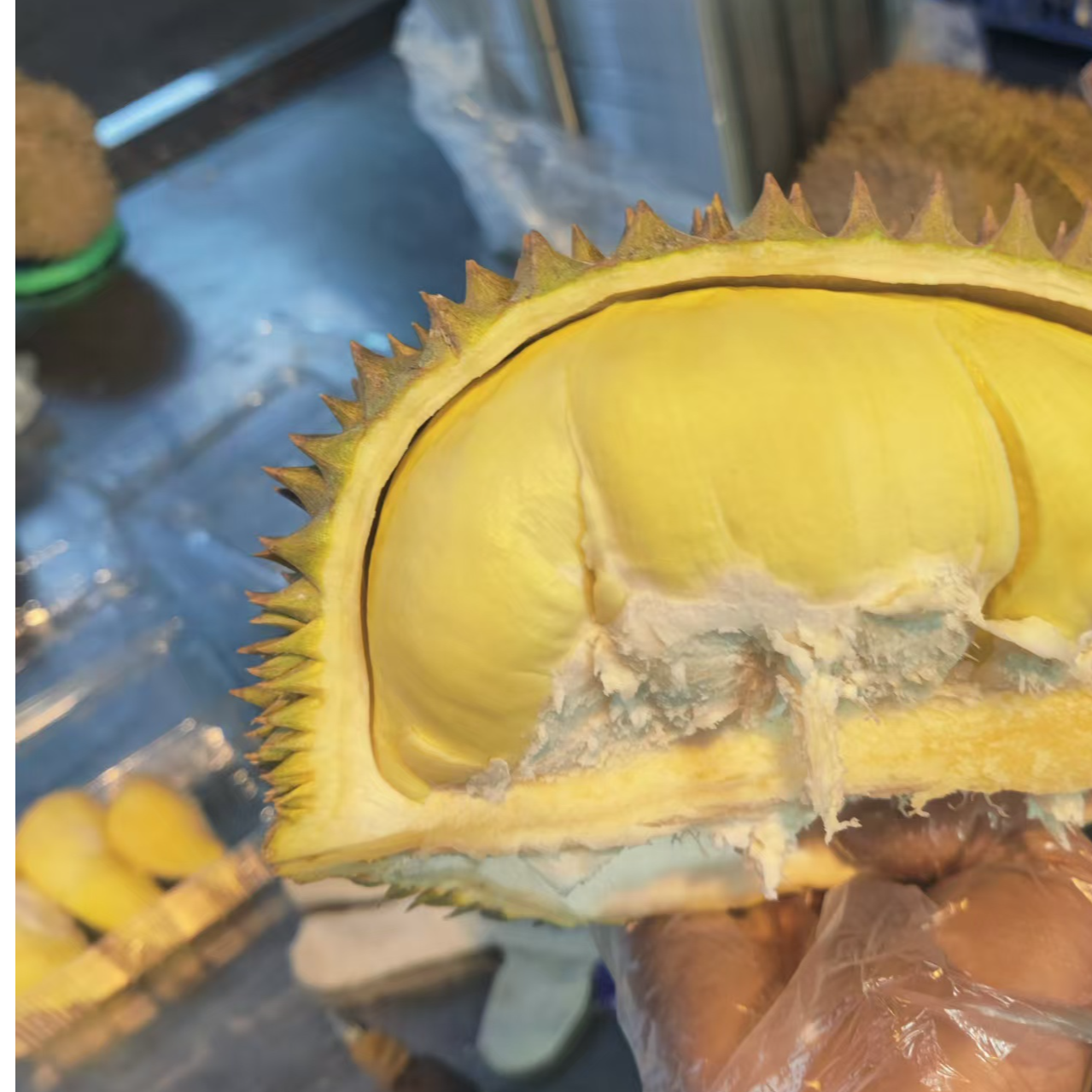 [3]号  树熟金枕新鲜带壳整果饱满香甜顺丰包邮    