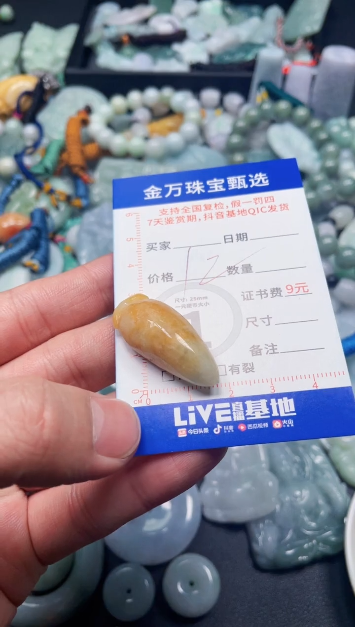 【闪购商品】翡翠项圈未镶嵌天然翡翠a货