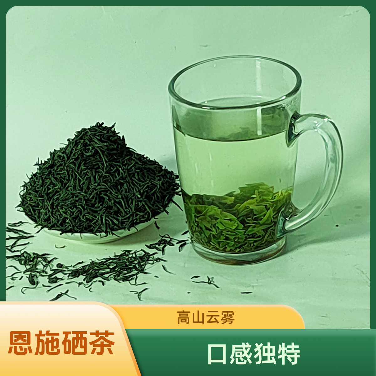 （2025新茶）恩施硒茶伍家台贡茶清明高山云雾针型口粮茶1号