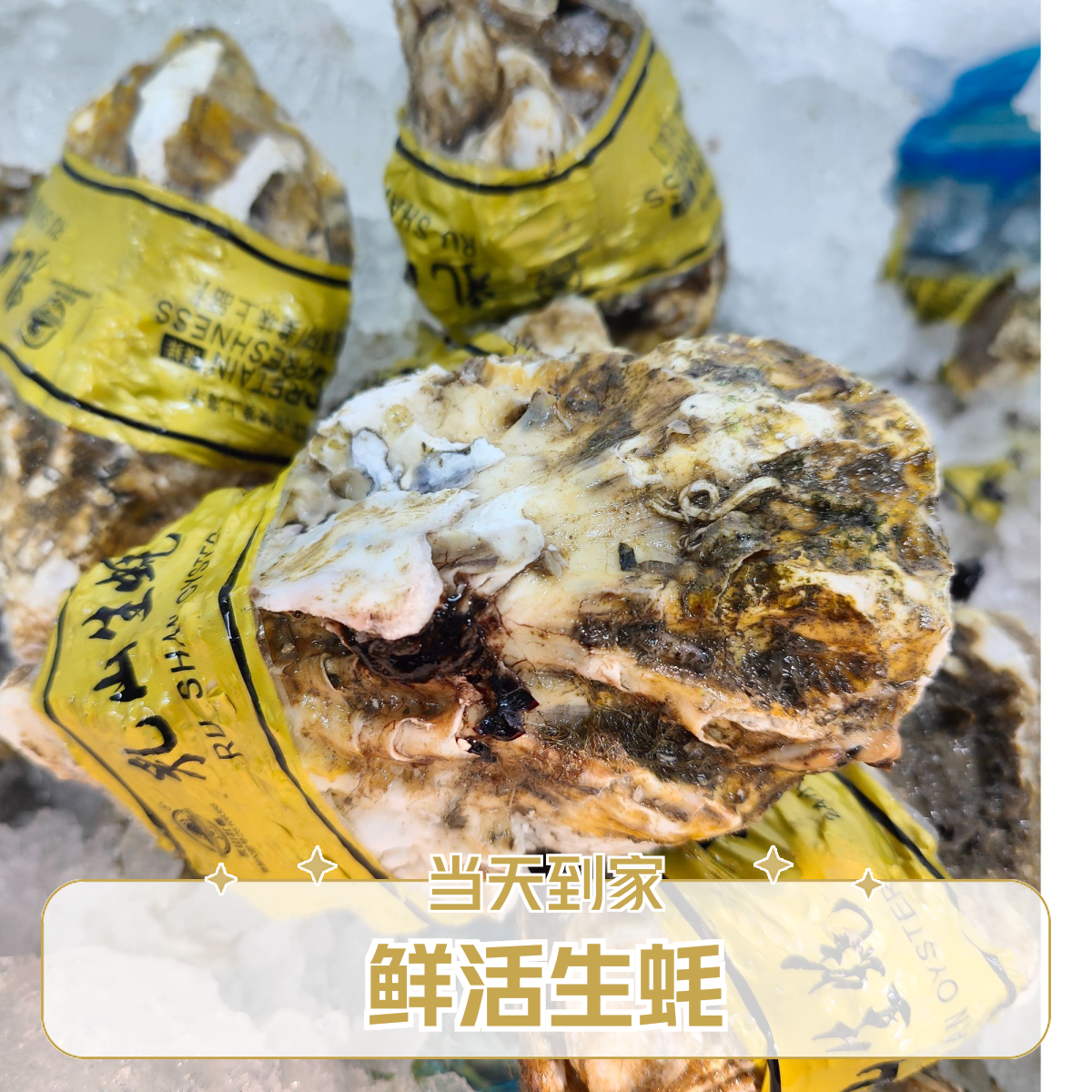 生蚝（6+）默认鲜活到家，如需开壳处理请备注。