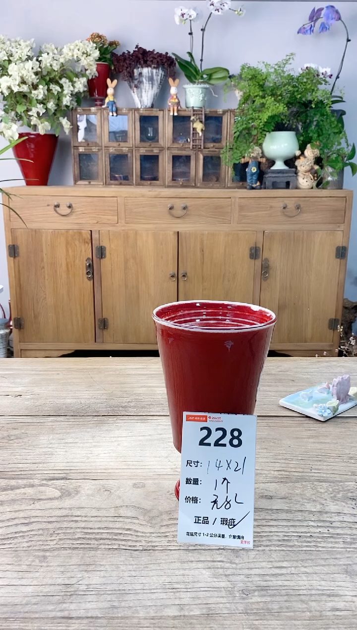 小玩子花盆直播编号228