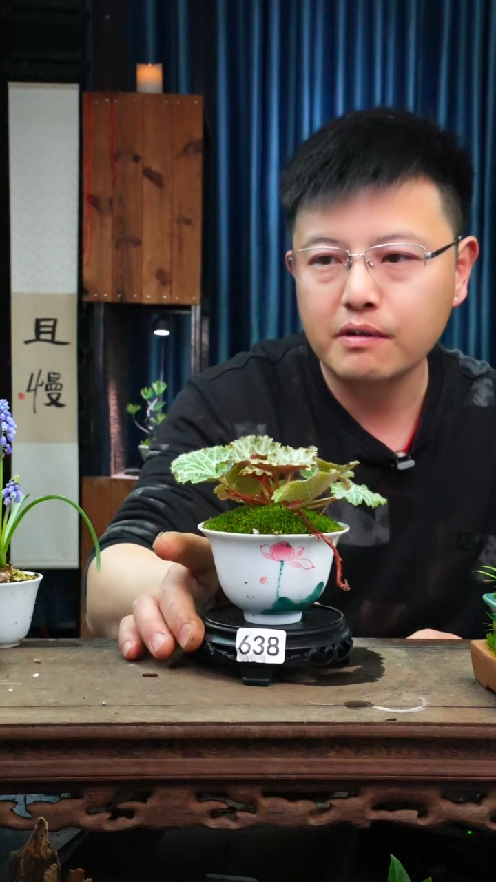 【闪购商品】苔藓微景观638号