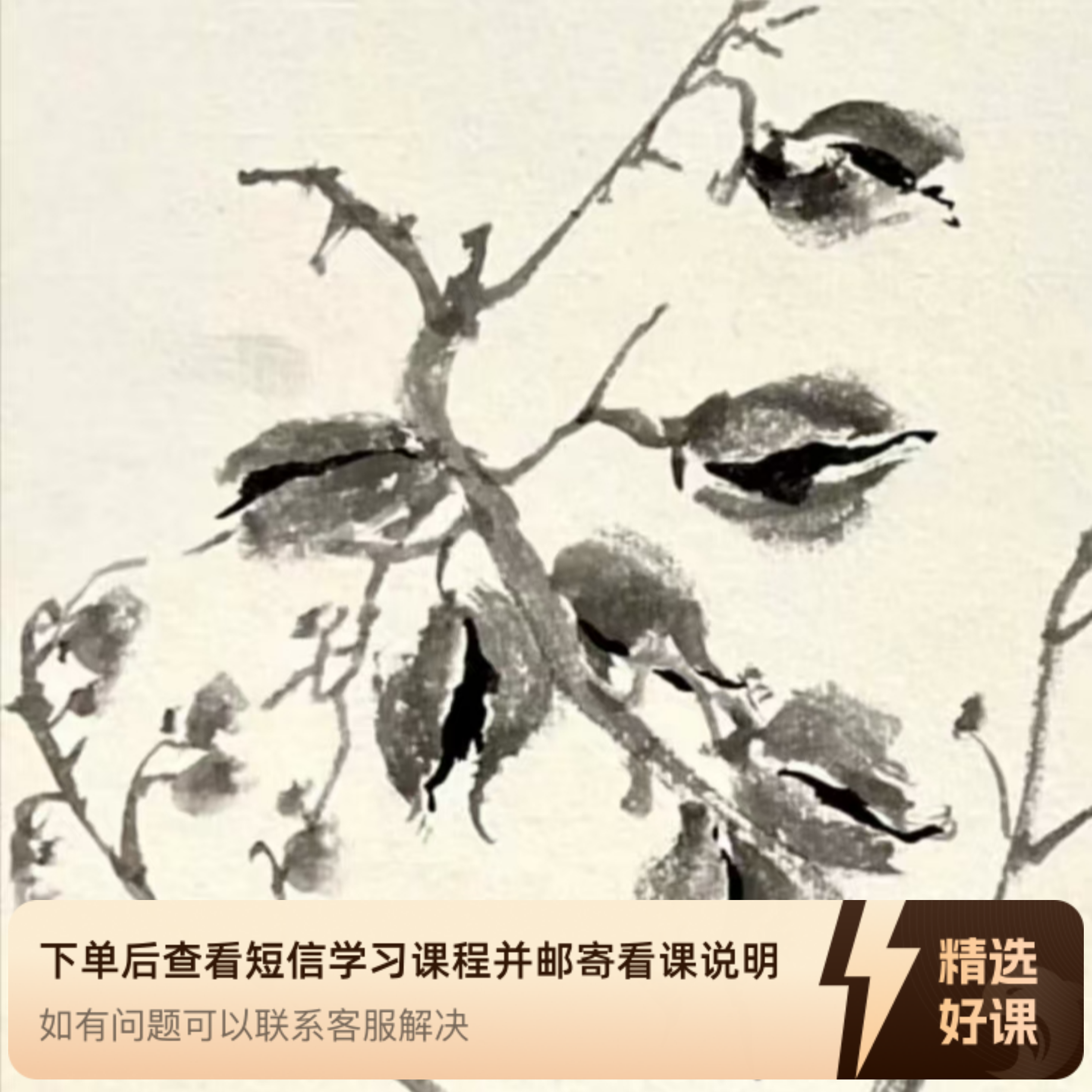 尹晓尧精品写生课程（留意短信解锁课程）