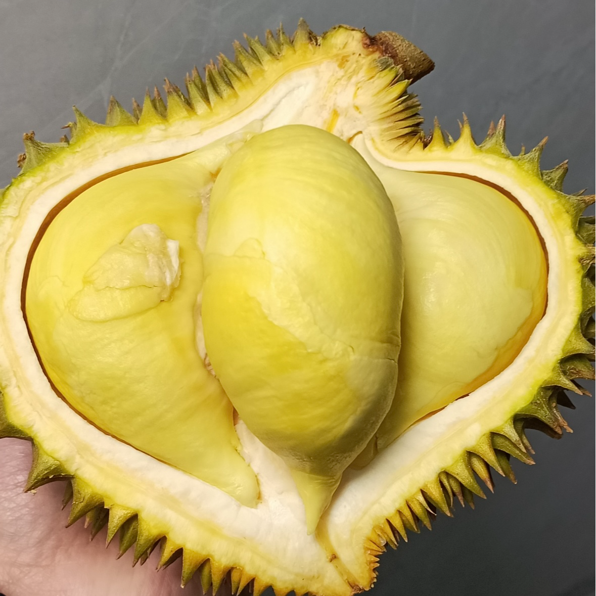 【金枕特惠200-25】鲜榴莲/鲜果现拔一果一秤/核小肉多2kg金枕金枕泰国越南