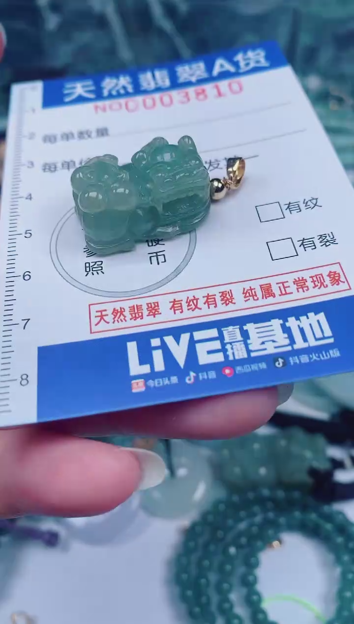 颈饰未镶嵌翡翠00003810