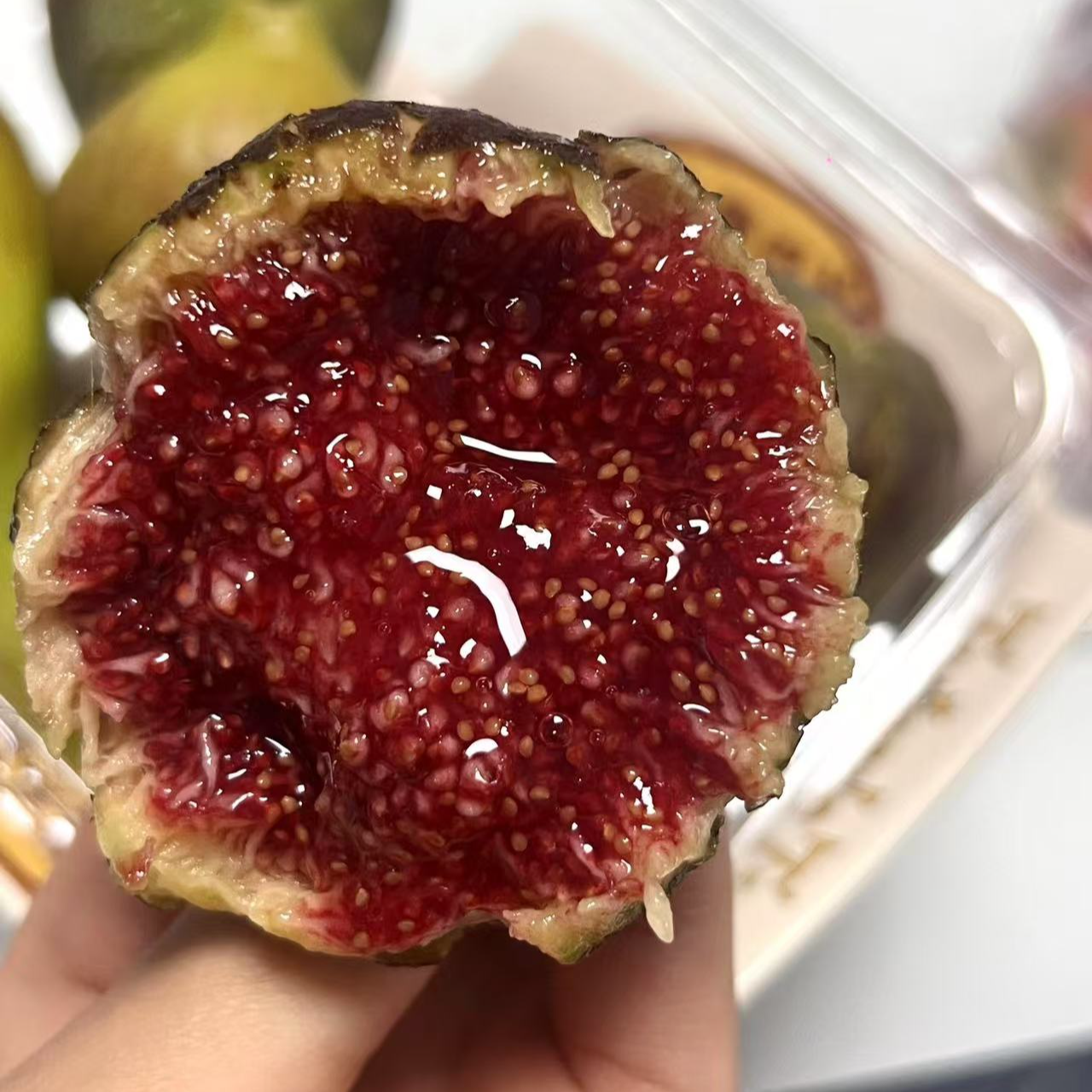 （原盆原土）格莱斯无花果树苗盆栽不包坏盆