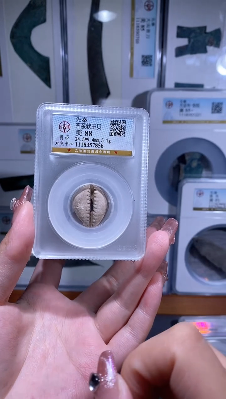 【闪购商品】铜品泉收藏     软玉贝